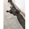 Recambio de cremallera direccion para hyundai h 1 h 1 furg.caja cerr.c. quinta referencia OEM IAM 577004A011  