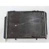 Recambio de radiador agua para mercedes-benz clase c (w202) berlina 180 (202.018) referencia OEM IAM 2025002103  