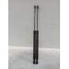 Recambio de amortiguadores maletero / porton para dacia sandero referencia OEM IAM 904529943r 7000210536c0 