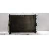 Recambio de radiador agua para renault scenic ii dynamique referencia OEM IAM  16G 2006