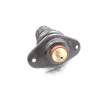 Recambio de amortiguador trasero para bmw mini (r50,r53) 1.6 16v cat referencia OEM IAM 33526764914  