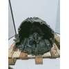 Recambio de caja cambios para nissan navara pick-up (d40m) double cab le 4x4 referencia OEM IAM   