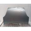 Recambio de capot para fiat doblo autobús (263_) 1.6 d multijet (263axd1b) referencia OEM IAM   2010