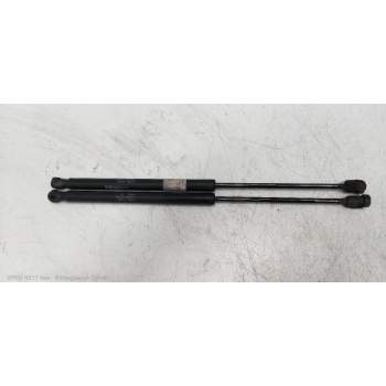 AMORTIGUADORES MALETERO / PORTON 8178007000 