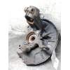 Recambio de mangueta delantera derecha para skoda octavia combi (1z5) scout 4x4 referencia OEM IAM   