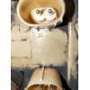 Recambio de bomba combustible para bmw 1 (e87) 120 d referencia OEM IAM 6763886 A2C53025282 