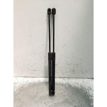 AMORTIGUADORES MALETERO / PORTON 844300009R 2008
