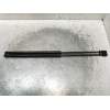 Recambio de amortiguadores capo para mini mini (r50,r53) cooper referencia OEM IAM 41617066566  