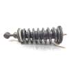 Recambio de amortiguador delantero para nissan pathfinder (r51) 2.5 dci xe referencia OEM IAM   