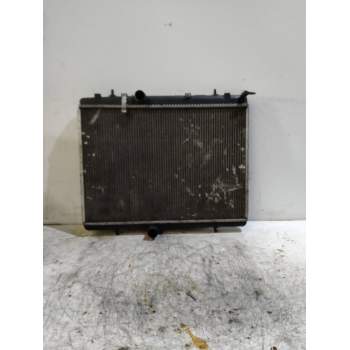 RADIADOR AGUA 20G 2006