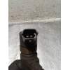 Recambio de inyector para fiat bravo (198) 1.9 active multijet referencia OEM IAM 0445110276  BOSCH