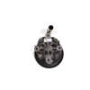 Recambio de bomba direccion para chrysler voyager (rg) 2.5 crd se referencia OEM IAM   