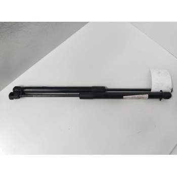 AMORTIGUADORES MALETERO / PORTON 904510001R 5P 2012