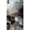 Recambio de motor completo para nissan leaf (ze1) electric referencia OEM IAM YHJ19  102801044326