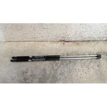 AMORTIGUADORES MALETERO / PORTON 9256119680 