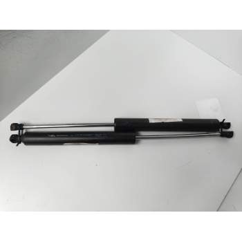 AMORTIGUADORES MALETERO / PORTON 8200014026B 
