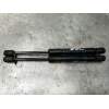 Recambio de amortiguadores capo para bmw 3 (f30, f80) 318 d referencia OEM IAM 557O0610N 5123723923306  2015