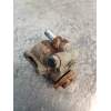 Recambio de bomba direccion para volkswagen new beetle (9c1/1c1) 2.0 referencia OEM IAM 1J0422154C 26066369 