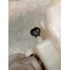 Recambio de bomba freno para bmw x3 (f25) xdrive 20d referencia OEM IAM 34336794473 32668156 