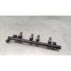 Recambio de rampa inyectora para fiat panda (312_, 319_) 1.2 (312pxa1a) referencia OEM IAM CB261B 12G 2012