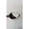 Recambio de transmision delantera izquierda para volvo s80 berlina 2.4 cat referencia OEM IAM 8150121477007L  