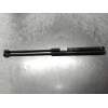 Recambio de amortiguadores capo para fiat stilo (192) 1.2 16v referencia OEM IAM 46784590  0250N