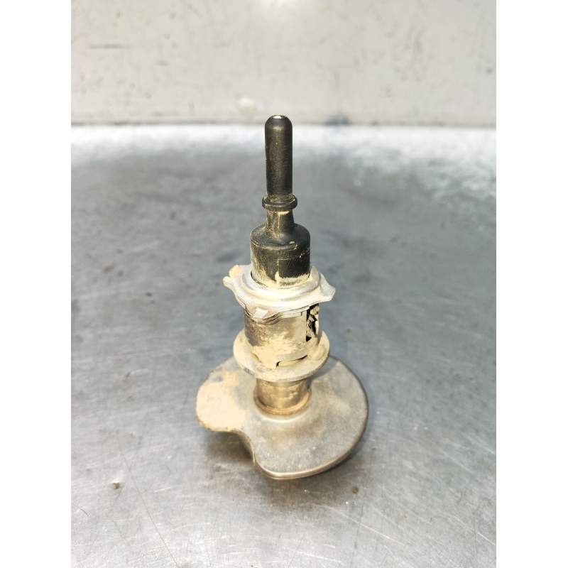 Recambio de inyector para audi q3 (f3b) 35 tdi referencia OEM IAM 0444021118 240622100728 ADBLUE 24 240622100728