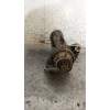 Recambio de motor arranque para volkswagen touareg (7l6) tdi r5 referencia OEM IAM 0001125607 070911023C 