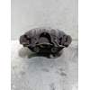 Recambio de pinza freno delantera izquierda para opel vectra b berlina referencia OEM IAM  1.6i B/95