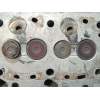 Recambio de culata para bmw 5 (e39) 525 tds referencia OEM IAM 2247054 256T1 