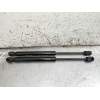 Recambio de amortiguadores capo para land rover freelander (lr2) 2.2 td4 referencia OEM IAM   