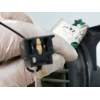 Recambio de motor calefaccion para chrysler stratus berlina (ja) referencia OEM IAM 4644809 4644810 