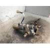Recambio de columna direccion para suzuki wagon r+ sr (em) 1.0 referencia OEM IAM 4820075F80  
