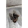 Recambio de bomba direccion para renault laguna grandtour iii 2.0 dci diesel fap cat referencia OEM IAM 8200739997  