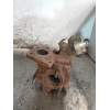 Recambio de turbocompresor para mazda 6 kombi (gh) 2.0 crtd 140cv active sw referencia OEM IAM VJ360802 RHV421152M 2007