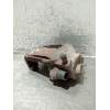 Recambio de pinza freno delantera izquierda para seat leon (1m1) 1.9 tdi referencia OEM IAM  19TDI 1999