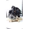Recambio de motor completo para volvo v50 (545) 2.0 d referencia OEM IAM D4204T siemenes 6901252