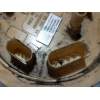 Recambio de bomba combustible para audi a3 (8vk) basic referencia OEM IAM 5Q0919050AN A2C82349001 