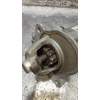 Recambio de motor arranque para ford focus lim. (cb8) titanium referencia OEM IAM 3M5T11000CF  