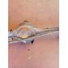 Recambio de puente delantero para land rover 88 2.3 d super 5v referencia OEM IAM   TAMBOR