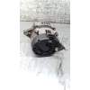 Recambio de alternador para daewoo nubira sedán (j200) 1.6 referencia OEM IAM  16G 2003