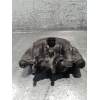 Recambio de pinza freno delantera izquierda para fiat ducato furgoneta (244_) 2.0 jtd referencia OEM IAM  20JTD 2002