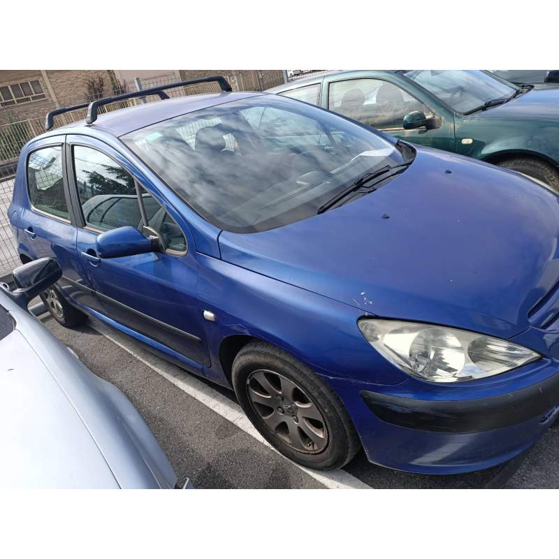 PEUGEOT 307 (S1)