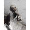 Recambio de mangueta delantera izquierda para audi a6 berlina (4f2) 2.0 tdi referencia OEM IAM  20TDI 2008