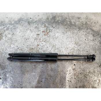 AMORTIGUADORES MALETERO / PORTON 904520004R 2017