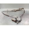 Recambio de elevalunas delantero derecho para suzuki grand vitara 5 puertas sq (ft) referencia OEM IAM 8343065d00 5P 0621008911