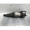 Recambio de amortiguador trasero derecho para jaguar xj 3.0 v6 diesel cat referencia OEM IAM F308614201  