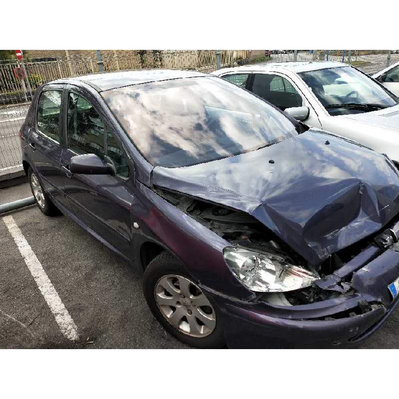 PEUGEOT 307 (S1)