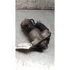 Recambio de motor arranque para peugeot 306 hatchback (7a, 7c, n3, n5) 1.9 d referencia OEM IAM   