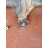 Recambio de puente trasero para ssangyong kyron 2.0 xdi 4x4 referencia OEM IAM DISCO/ABS 20D 2005